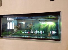 幻影成像系统原理及报价