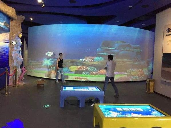 画画水族馆11