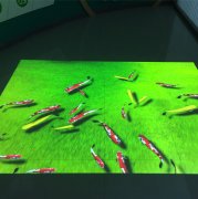 地面互动投影+游戏