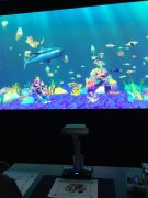 画画水族馆的应用价值