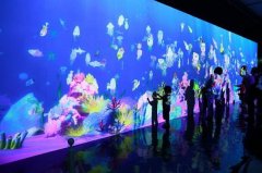 画画水族馆百科